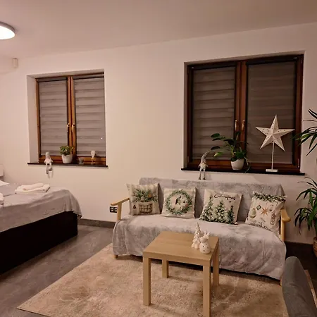 Apartament Cyganski Las Bielsko-Biała Zewnętrze zdjęcie