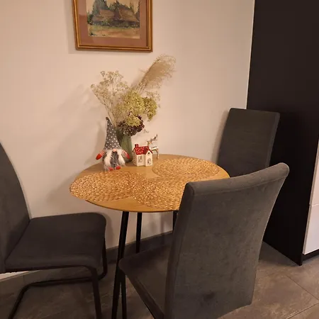 Apartament Cyganski Las Bielsko-Biała Zewnętrze zdjęcie